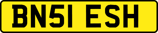 BN51ESH