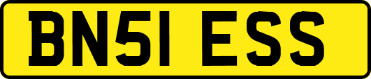 BN51ESS