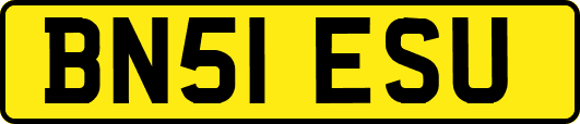 BN51ESU