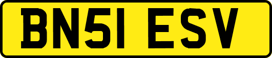 BN51ESV