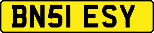 BN51ESY