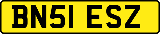 BN51ESZ