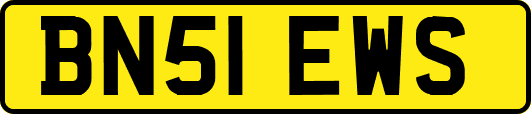 BN51EWS