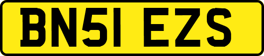 BN51EZS