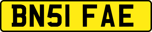 BN51FAE