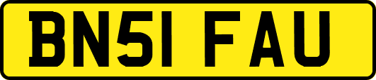 BN51FAU