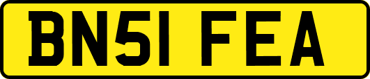 BN51FEA