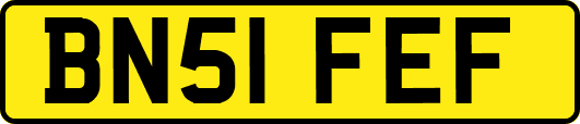 BN51FEF