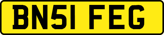 BN51FEG