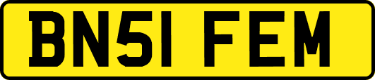 BN51FEM
