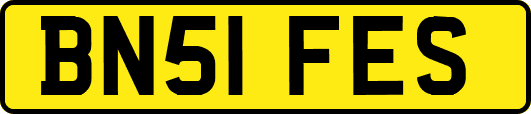 BN51FES