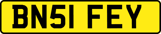 BN51FEY