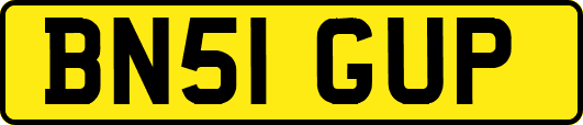 BN51GUP