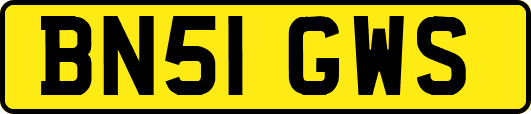 BN51GWS