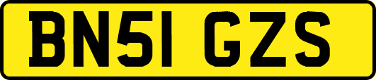 BN51GZS