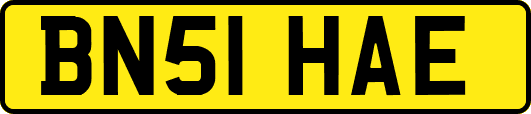 BN51HAE