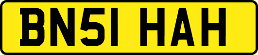 BN51HAH