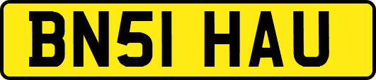 BN51HAU