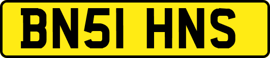 BN51HNS