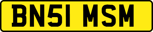 BN51MSM
