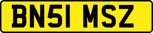 BN51MSZ