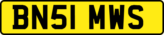 BN51MWS