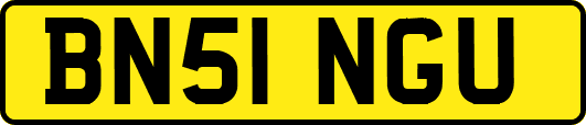 BN51NGU