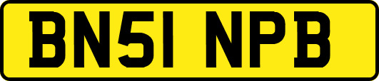 BN51NPB