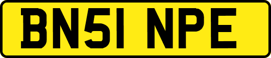 BN51NPE