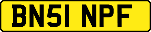 BN51NPF