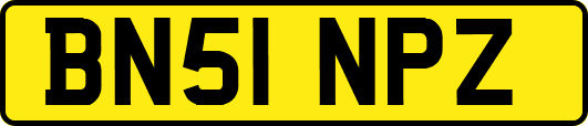 BN51NPZ