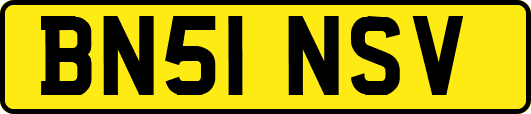 BN51NSV