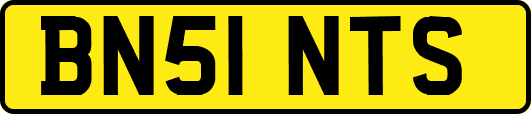 BN51NTS