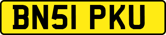 BN51PKU