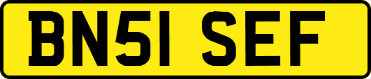 BN51SEF