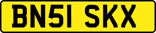 BN51SKX