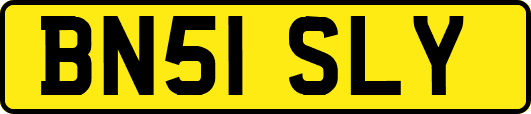 BN51SLY
