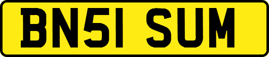 BN51SUM