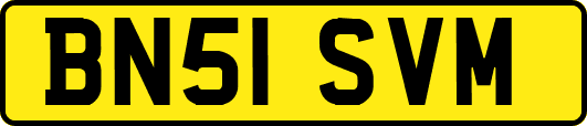 BN51SVM