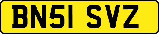 BN51SVZ