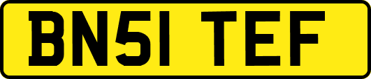 BN51TEF