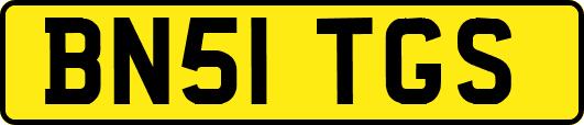 BN51TGS