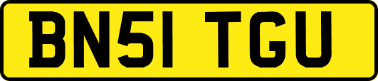 BN51TGU