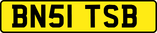BN51TSB