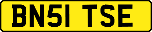 BN51TSE