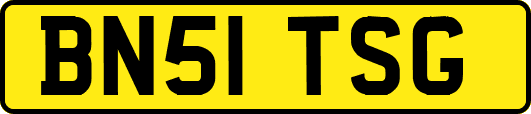 BN51TSG