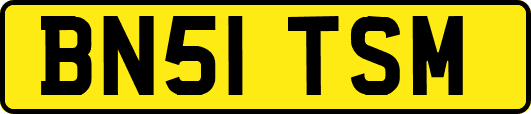 BN51TSM