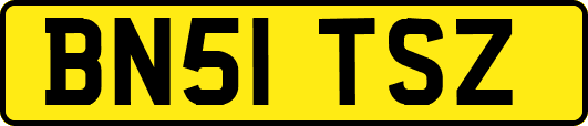 BN51TSZ