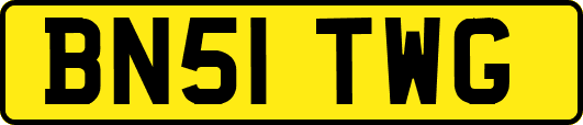 BN51TWG