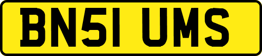 BN51UMS